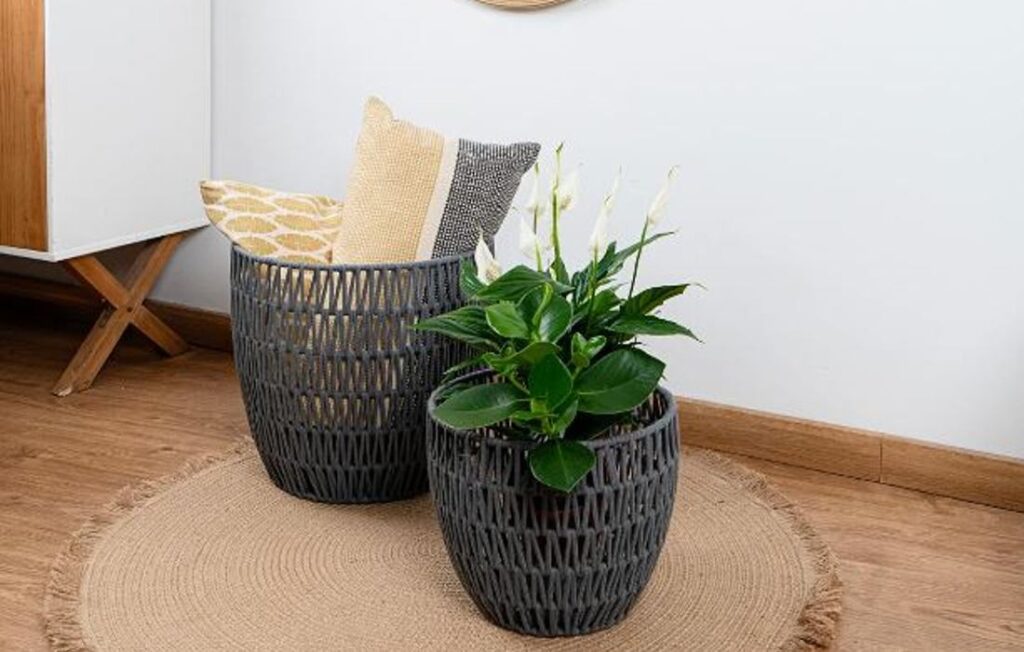 Este juego de maceteros aportan una textura orgánica y calidez a tus espacios, ideal para complementar cualquier rincón con estilo rústico.