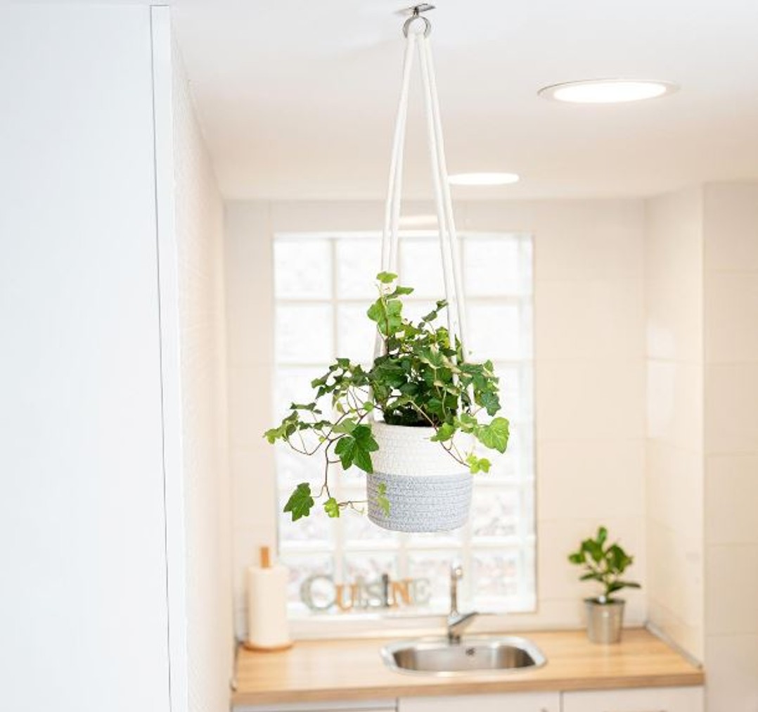 Aprovecha cada espacio vertical con este elegante macetero colgante de algodón, perfecto para añadir verdor sin ocupar espacio en el suelo.