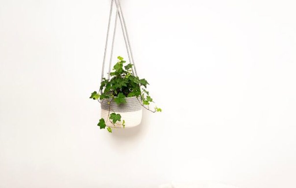 La decoración de tu casa cambia con este macetero colgante de algodón, una pieza funcional, con un toque natural y fresco.