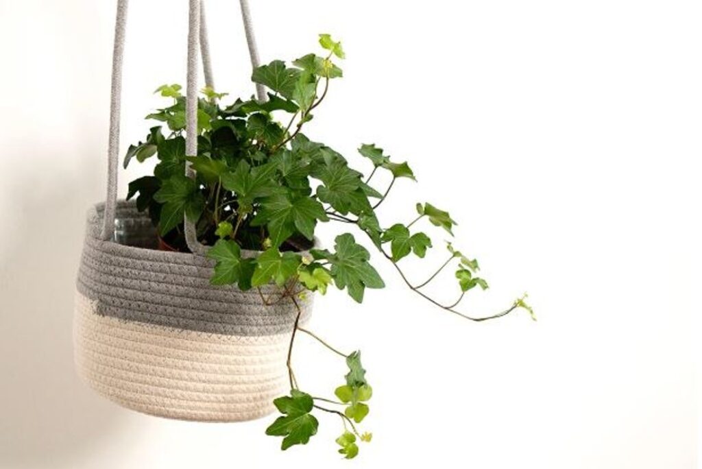 Maceteros y otros elementos sencillos son protagonistas en las rebajas del hogar