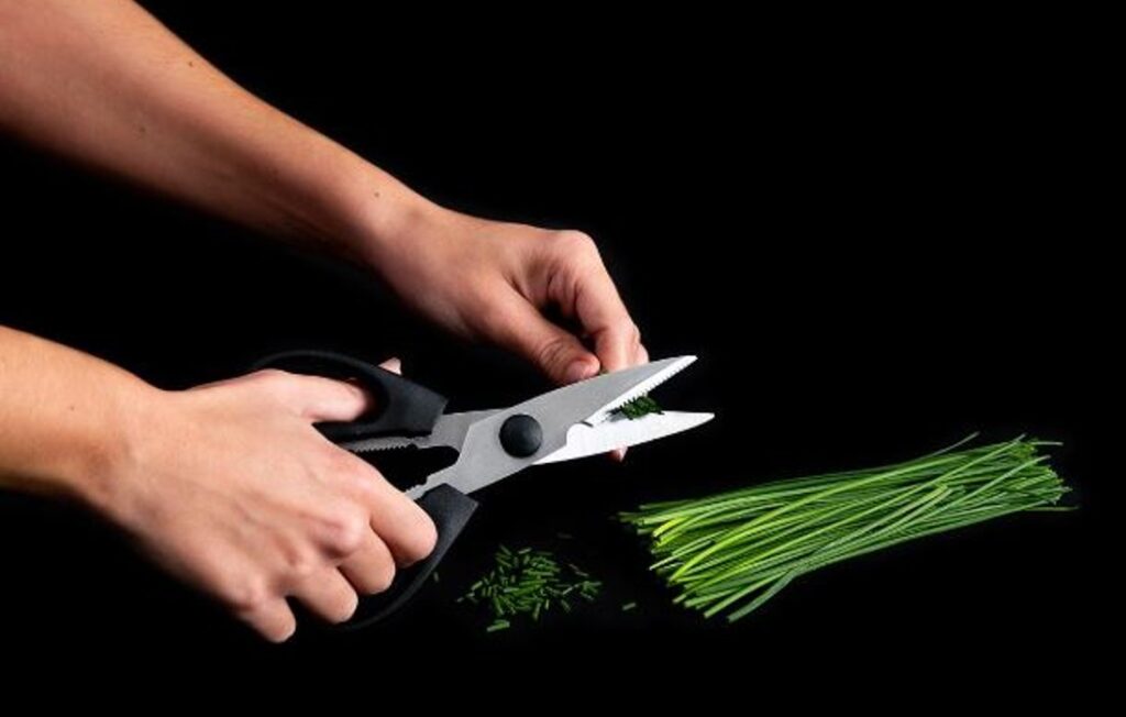 Las tijeras de cocina de alta calidad te facilitan la vida al crear tus platos Las tijeras de cocina de alta calidad te facilitan la vida al crear tus platos