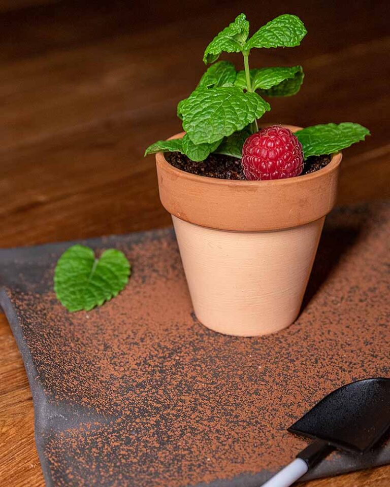 Maceta de mousse de chocolate con crumble de cacao