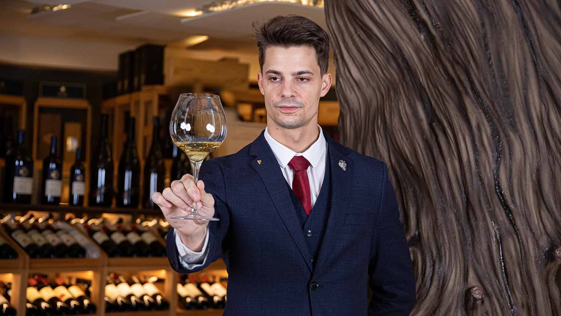 El sumiller y el vino en la hosteleria